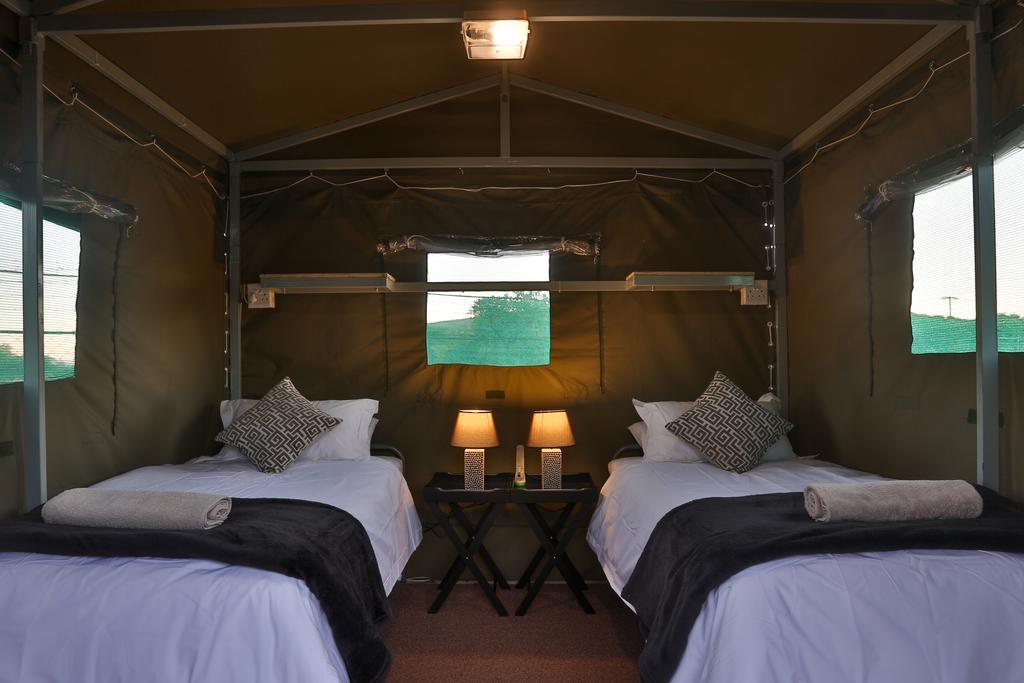 Tented Adventures Pilanesberg Exteriör bild