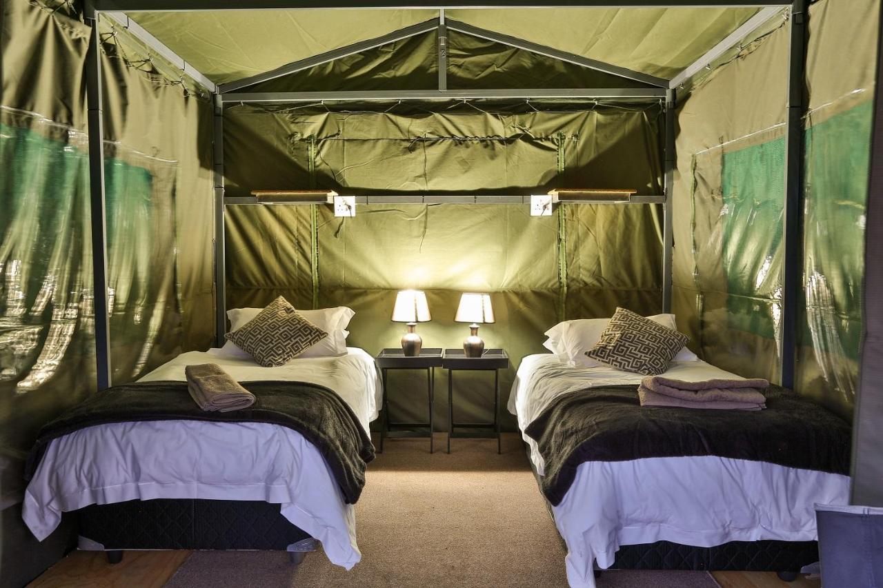 Tented Adventures Pilanesberg Exteriör bild
