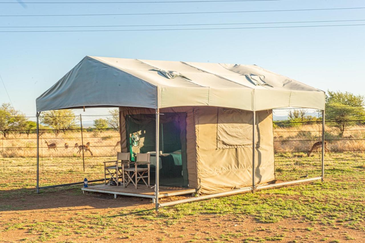 Tented Adventures Pilanesberg Exteriör bild
